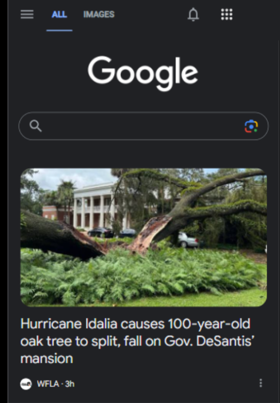 Google Discover story 