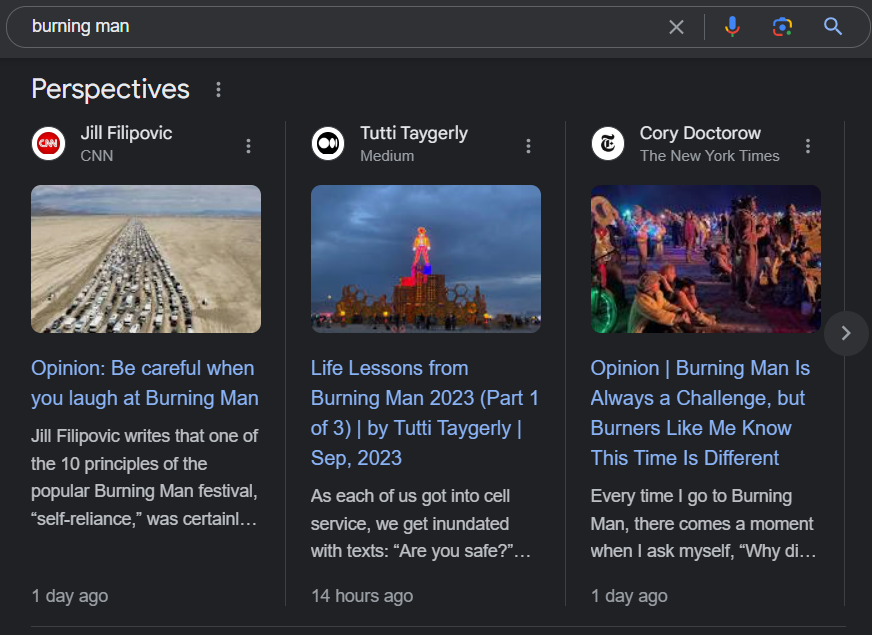 Perspectives news SERP feature 